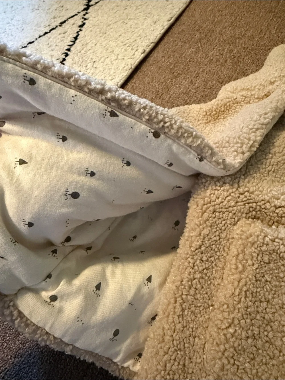 Zara cozy cream
